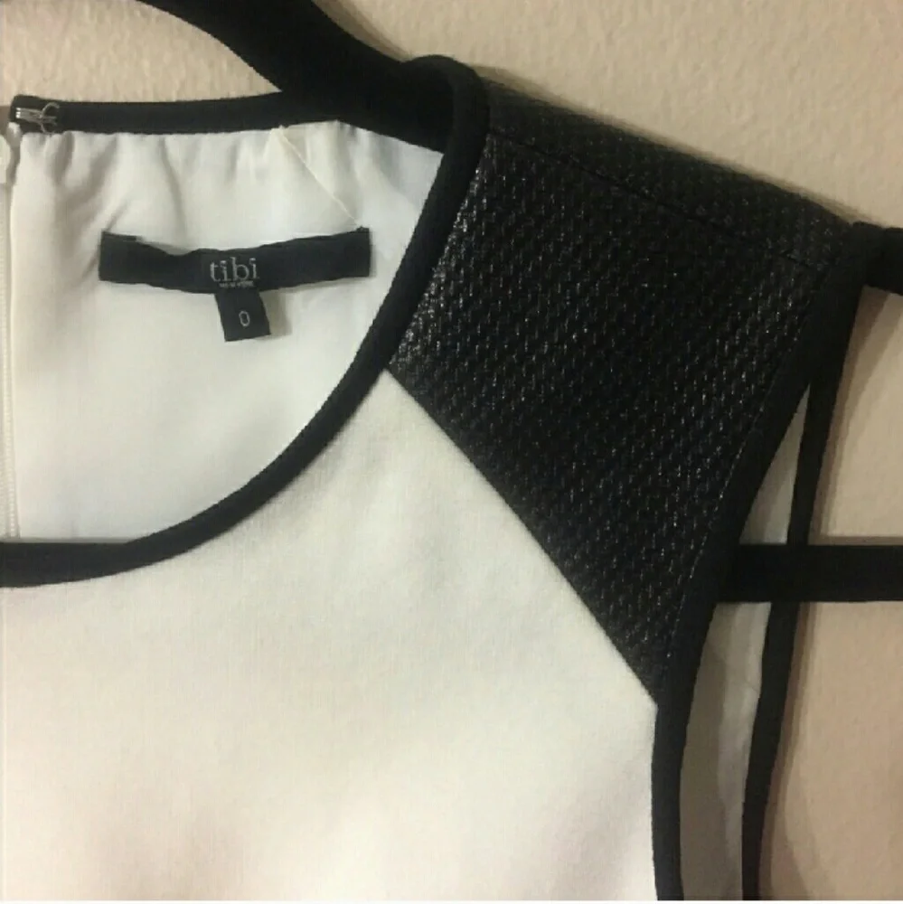 TIBI color blocked Ponte dress